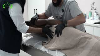 Download Lagu Janazah Process - Step By Step Guide MP3