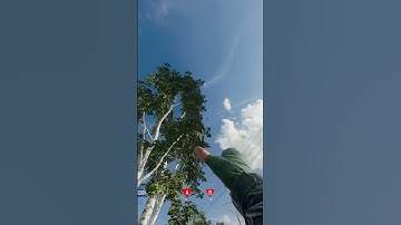 Crossmap Combat Axe 🪓#shorts