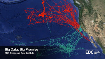 Big Data, Big Promise