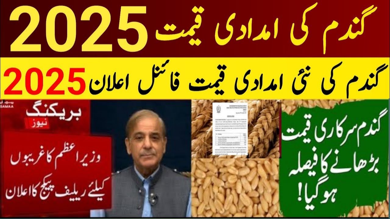 wheat price today in punjab | گندم کا ریٹ 2025 | gandam rate today ...