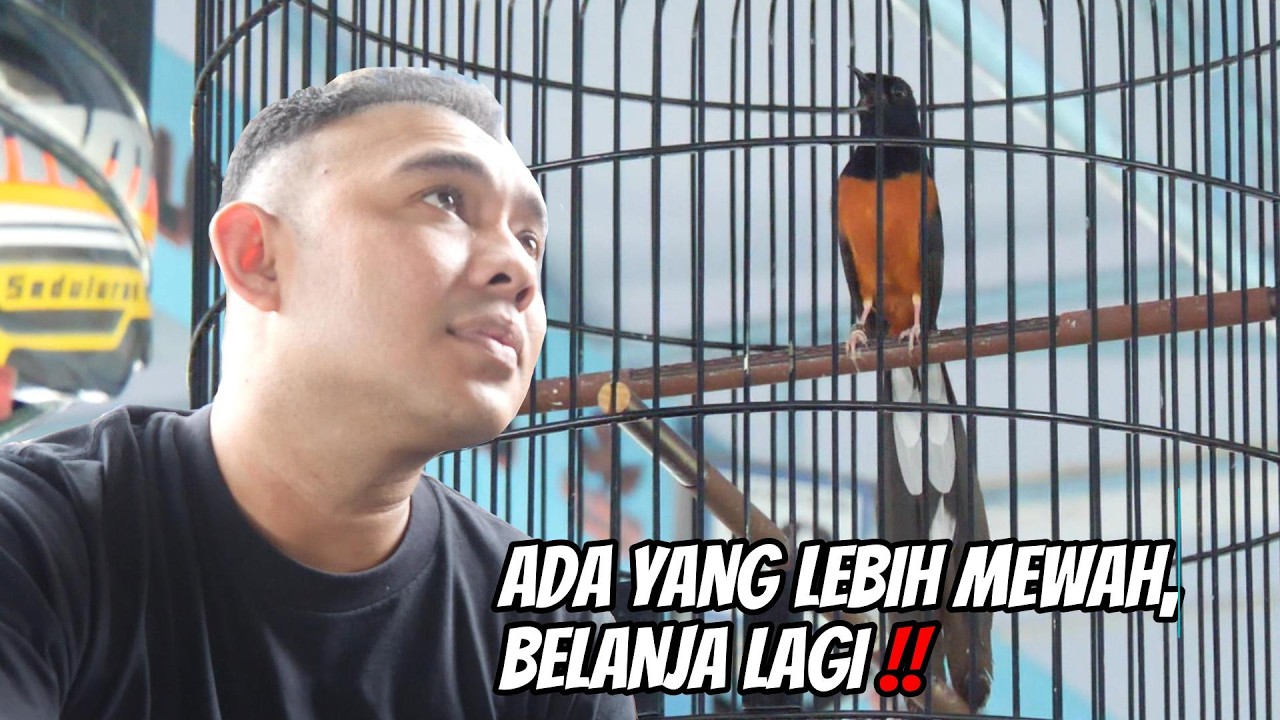 BURUNG SUPER  PAKET KOMPLIT !! EKORNYA PANJANG DAUNNYA LEBAR