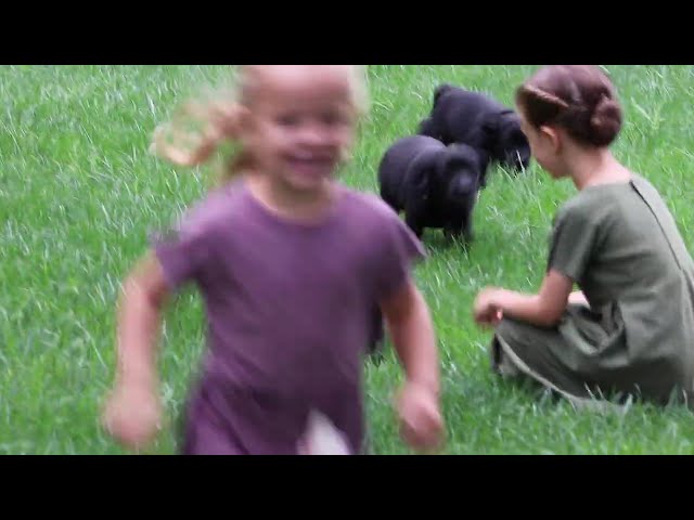 Shadow video thumbnail