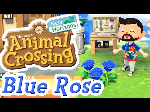 Video: How To Grow A Blue Rose