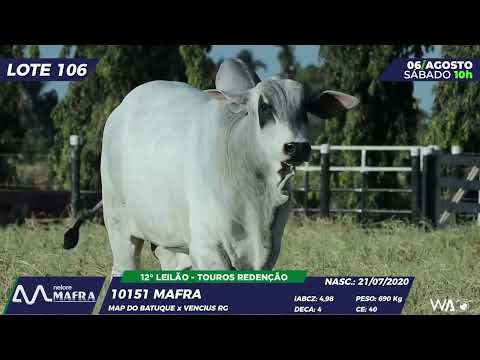 LOTE 106 MFRA 10151