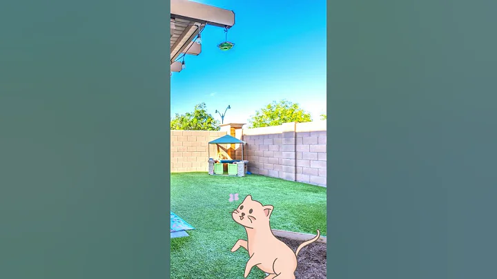 What 410K BUYS You in Gilbert, Arizona