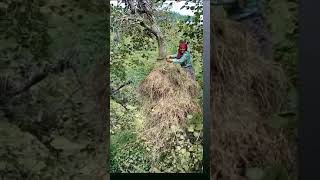 Pahad Ki Naari Reena Bhandari Vlog