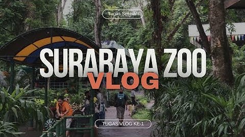 Tugas Vlog Mata Pelajaran Informatika Kelas 9