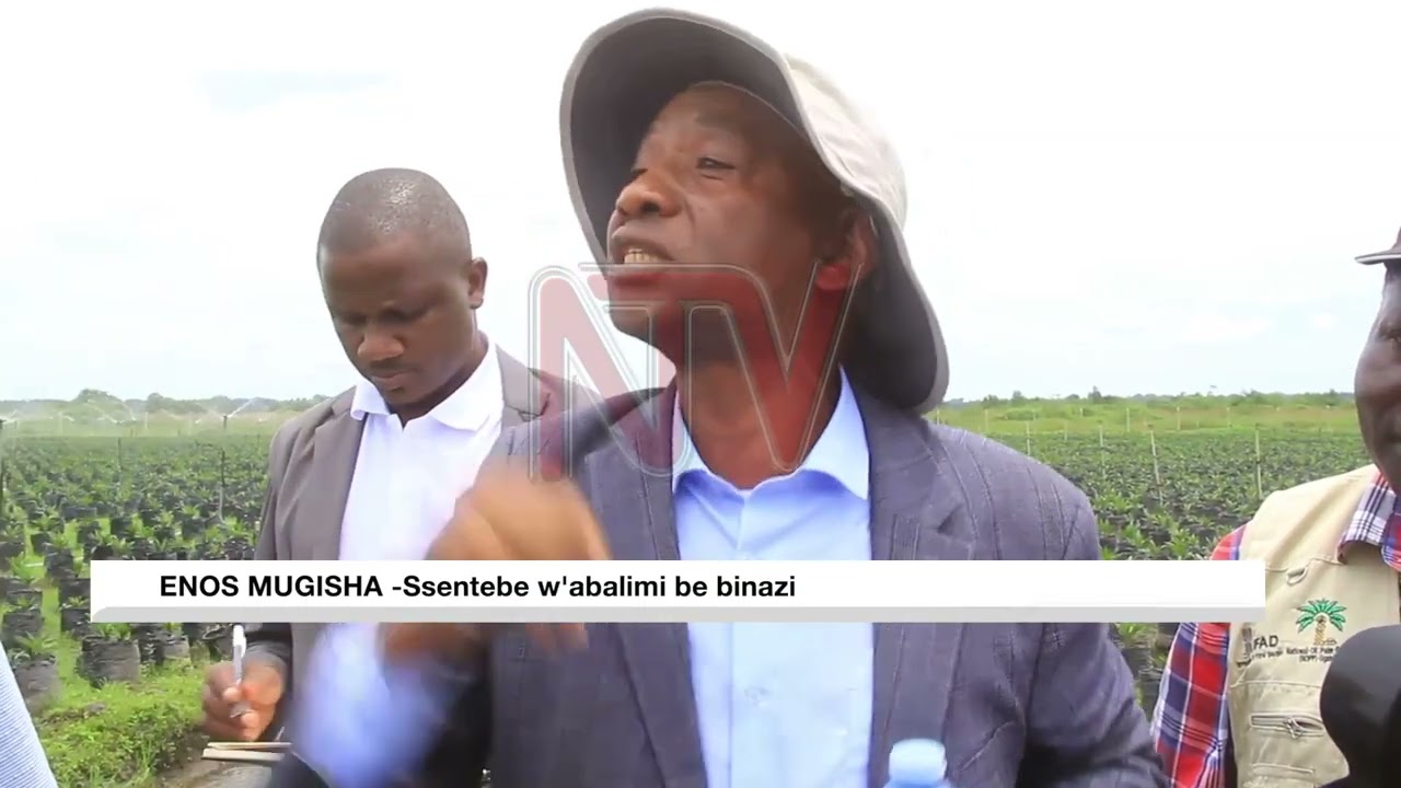 OKULIMA EBINAZI E KYOTERA:Abalimi baagala gavumenti ebawe ensigo