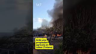 Incendio en una granja de animales en Lebor (Totana)