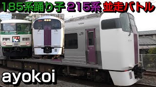 さよなら185系踊り子･215系 最後の並走バトル 大船-辻堂