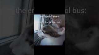 whatcha watchin there . . #meme #memes #memesdaily #cat #catshorts #schoolbus #bruh