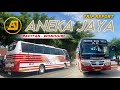 Trip report bus aneka jayapacitan  wonogiri