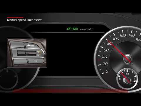 Stinger - Manual speed limit assist