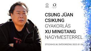 Gyakorlás Csung Jüan Csikung gyakorlók és kezdők számára - Stockholm 2023-01-06 screenshot 3