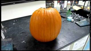 self carving pumpkin
