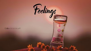 Feelings BGM Whatsapp status video