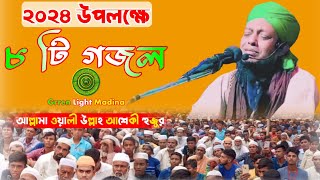 ২৪ সালে ৮ টি মন কারা গজল | হাফেজ মুহাম্মদ ওয়ালী উল্লাহ আশেকী হুজুরের নতুন গজল ২০২৪ Walimullah Asheki