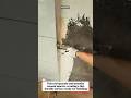 Perfect Wall Plaster Finish! #Construction #Plastering #Masonry