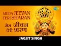 Mera Jeevan Teri Sharan | मेरा जीवन तेरी शरण | Jagjit Singh | Maa | Saregama Bhakti