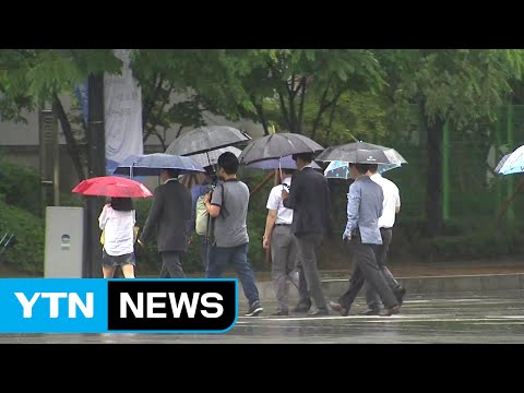 [날씨] 5mm 더 온다...주말에 남부 또 단비 / YTN