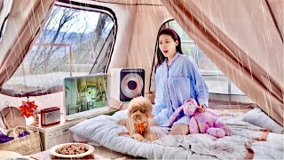 SOLO Camping in Spring RAIN ☔ Makgeolli & Jeon | Rolling around in bed with my beloved dog