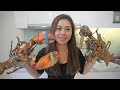 My Girlfriend First time eating LOBSTER