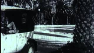 1920's comedy, dancing, adultery and bootleggers -- Film 18573