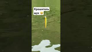 Секреты успешной рыбалки на спиннинг 😎😁