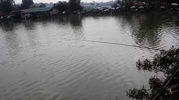 Hồ câu cá Ngũ Phúc(5)