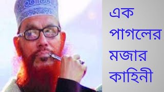 এক পাগলের মজার ঘটনা আল্লামা দেলোয়ার হোসেন সাঈদী ওয়াজ