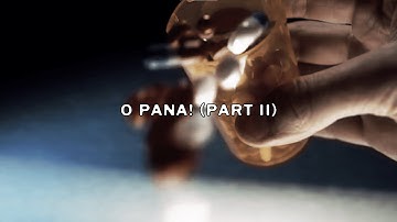$uicideboy$ - O Pana (Part II) (Lyric Video) (prod. ByMe Beats)