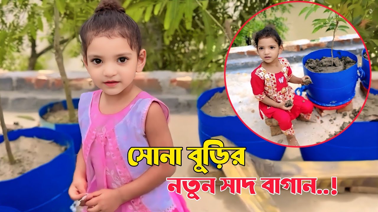 আমাদের সোনা বুড়ির নতুন সাদ বাগান | Free motion by Rohan | BIKER ABTAB