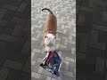 #shorts