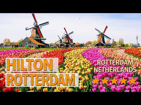 hilton rotterdam hotel review hotels in rotterdam netherlands hotels