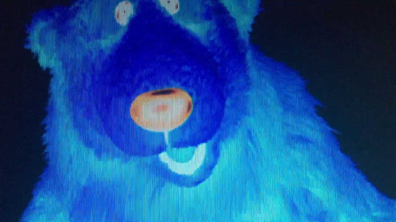 Bear in the Big Blue House Intro in G Major - YouTube