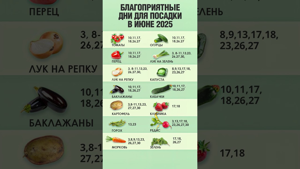 ЛУННЫЙ ПОСЕВНОЙ КАЛЕНДАРЬ | БЛАГОПРИЯТНЫЕ ПОСАДОЧНЫЕ ДНИ В ИЮНЕ 2025 | ПОСЕВНОЙ КАЛЕНДАРЬ НА ИЮНЬ