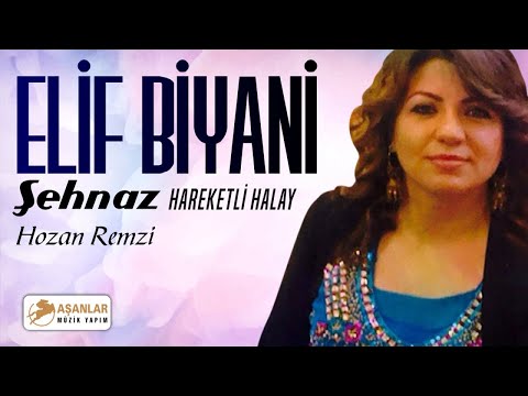 Elif Biyani Ft. Hozan Remzi - Şehnaz Hareketli Halay