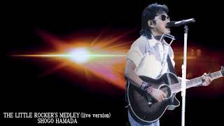 THE LITTLE ROCKER'S MEDLEY (live version) ／浜田省吾