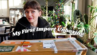 my new variegated houseplants from indonesia   unboxing, setup for recovery, & mini update!