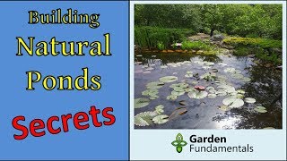 Secrets to Building Natural Ponds the Right Way (New Method)