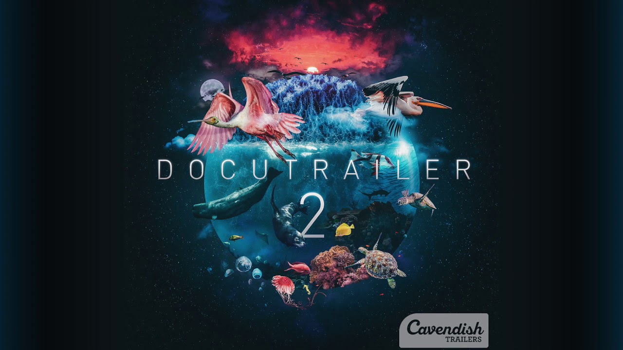 Flaring Sun - Docutrailer 2 (CAVT46)