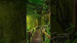Download Lagu i feel the music🎶 #nature #plant #trees #jannt #forest #beauty #love #reels #shorts #ytshorts #life MP3 Download Lagu i feel the music🎶 #nature #plant #trees #jannt #forest #beauty #love #reels #shorts #ytshorts #life MP3