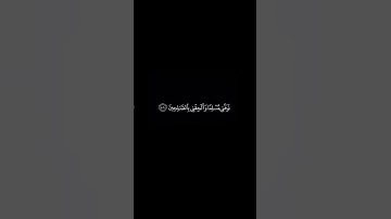توفني مسلما والحقني بالصالحين - سورة يوسف || ادريس ابكر #كرومات_قرآن