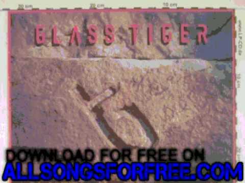 glass tiger -