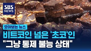 가격은 안 달달해…비트코인 뛰어넘은 초콜릿 상황 / SBS / 모아보는 뉴스