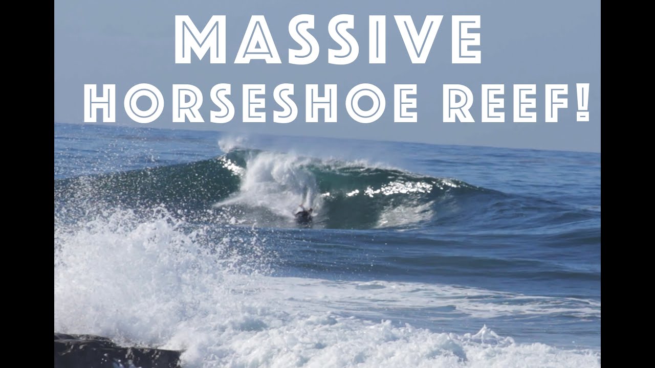 Day at Horseshoe Reef (Raw Footage) - YouTube