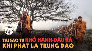 Tại sao phải Tu Khổ Hạnh Đầu Đà khi Phật chọn Trung Đạo? | Sư Tuệ Nhân P2