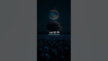 #القرآن_الكريم #اكسبلور #سورة_النور #راحة_نفسية