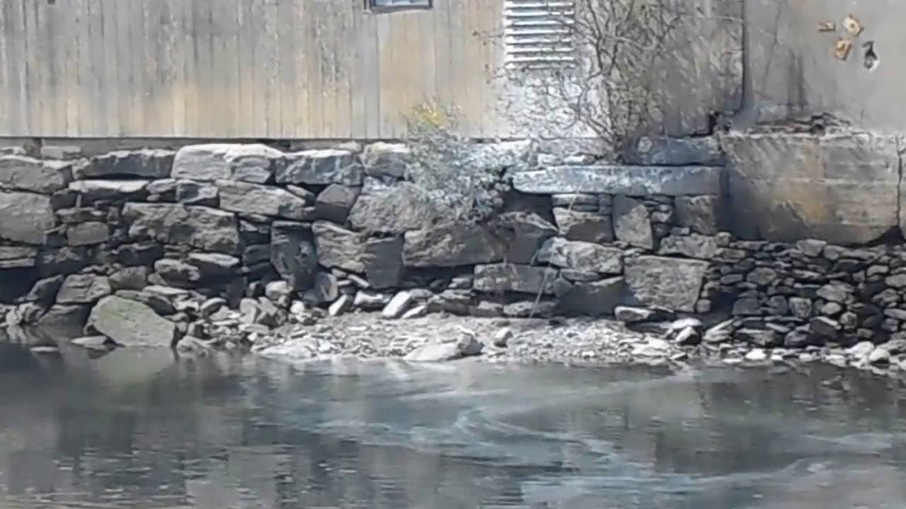 Industrial Wastewater Discharge Into Byram River - YouTube Industrial Wastewater Discharge Into Byram River - YouTube