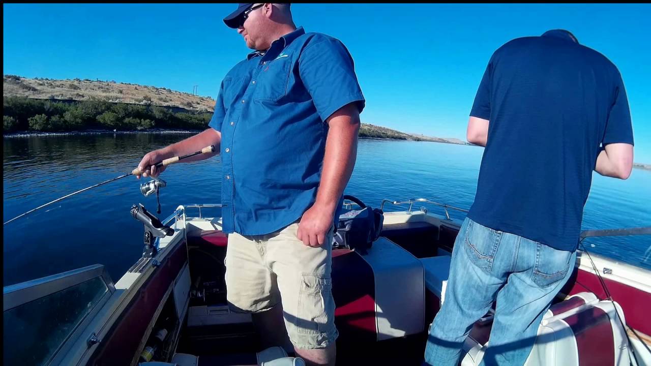 Columbia River Walleye Fishing - YouTube